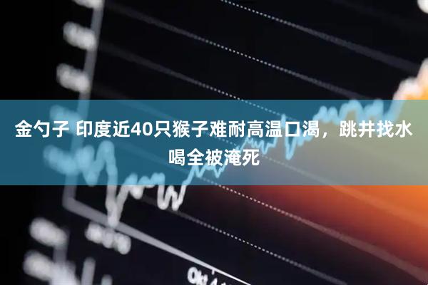 金勺子 印度近40只猴子难耐高温口渴，跳井找水喝全被淹死