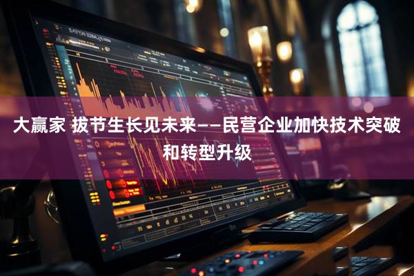 大赢家 拔节生长见未来——民营企业加快技术突破和转型升级