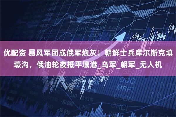 优配资 暴风军团成俄军炮灰！朝鲜士兵库尔斯克填壕沟，俄油轮夜抵平壤港_乌军_朝军_无人机