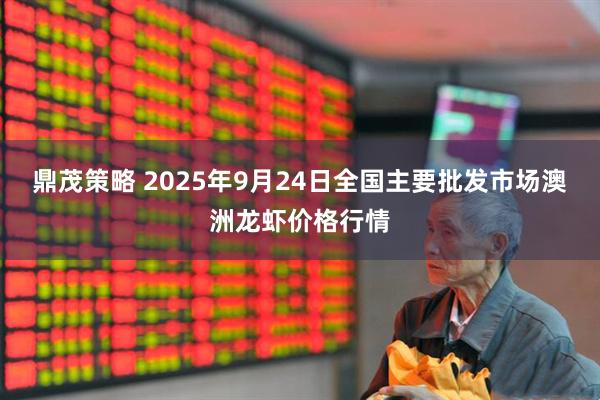 鼎茂策略 2025年9月24日全国主要批发市场澳洲龙虾价格行情